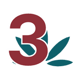 Eine dunkelrote Drei vor einem dunkelgrünen Hanfblatt